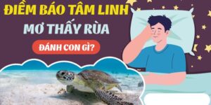 Mơ Thấy Rùa Đánh Số Mấy